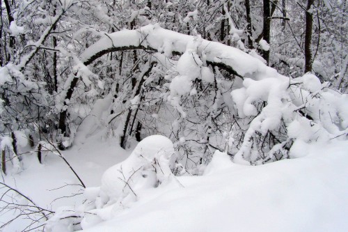 Зима, Ленинградская область, 2009