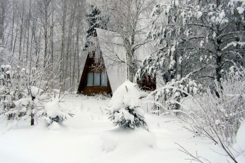 Зима, Ленинградская область, 2009